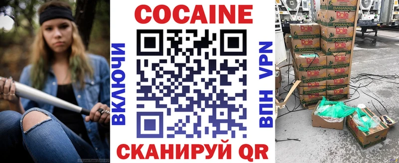 Купить закладки Пучеж COCAIN FishScale