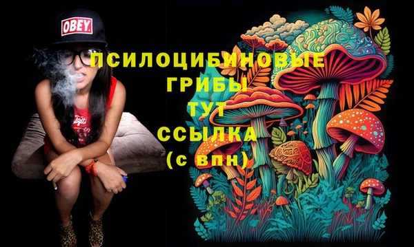 стафф Богородск