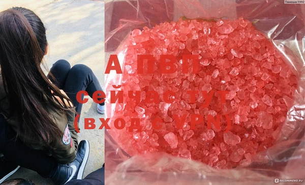 марки nbome Богородицк