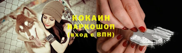 стафф Богородск