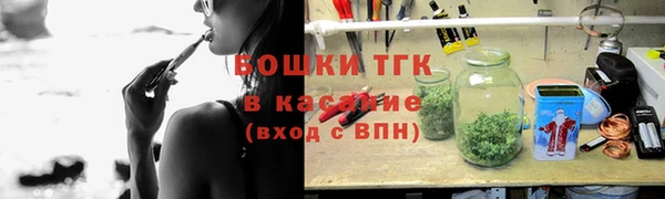 тгк Богданович