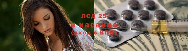 тгк Богданович