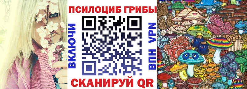 Псилоцибиновые грибы ЛСД  Купить закладки  Пучеж 